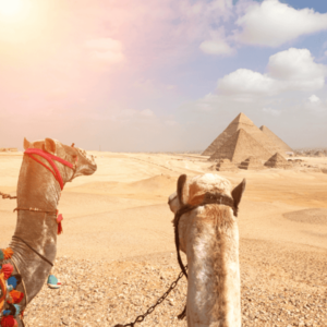 Turquía & Egipto